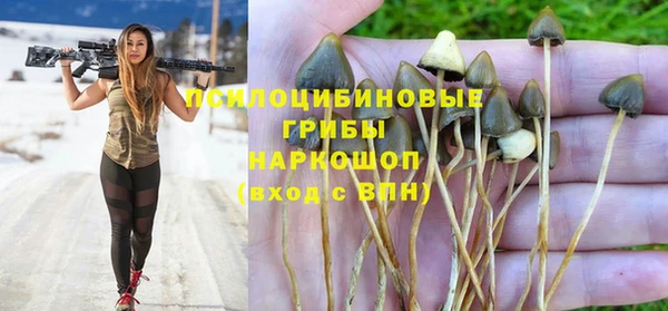 ешки Армянск