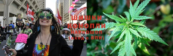 каннабис Алексеевка