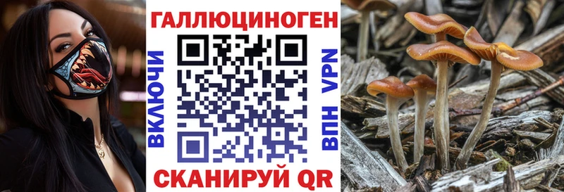 Псилоцибиновые грибы Psilocybine cubensis Аша